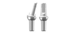 2.0 Post Shouldered Abutment