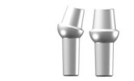Fixed Detachable Abutment