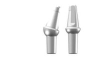 2.5 Post Shouldered Abutment