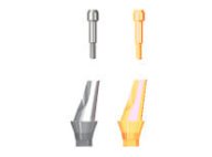 Angled Abutment (Hex)