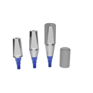 Solid Abutment