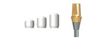 Solid Abutment